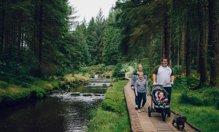 Cascades Trail accessible boardwalk